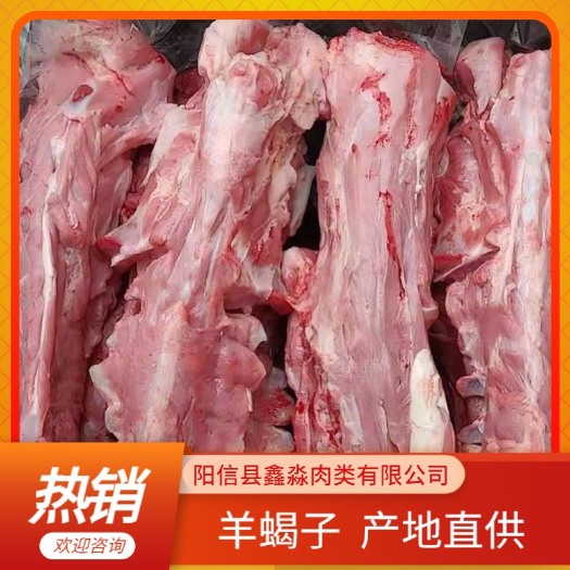 阳信县羊蝎子  厂家直销精品加肉羊脊骨，一手货源，欢迎选购。