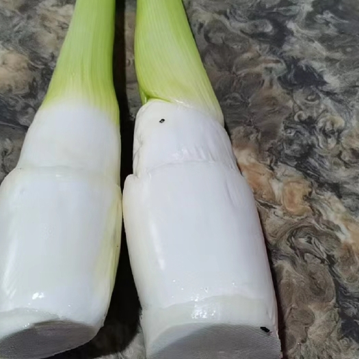 曲靖精品茭白
