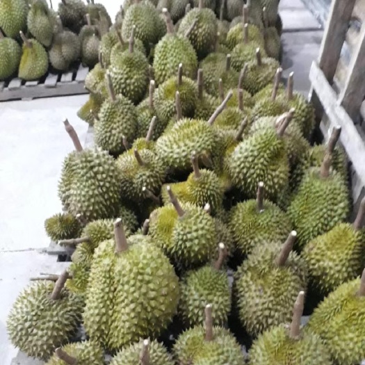凭祥市越南金枕榴莲
