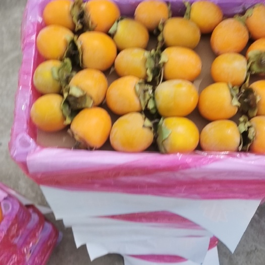 灵宝市柿子