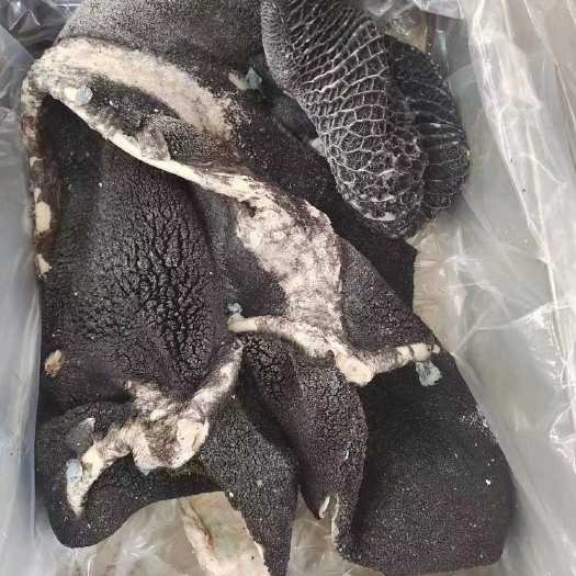 阳信县黑毛肚 水煮黑毛肚 毛肚 水煮 国产 纯干