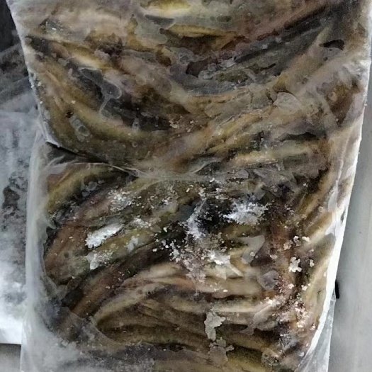 花泥鳅
