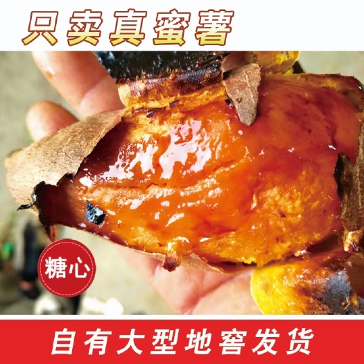 夏津县正宗烟薯25，紫红皮红心，烤薯店专用，一件代发，大量批发，