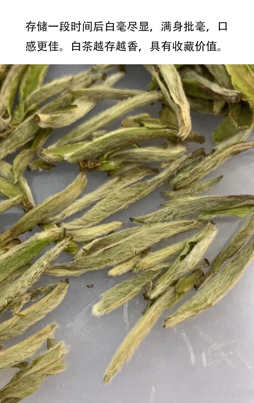福鼎白毫银针让舌尖带您去趟福鼎茶山！可带发礼盒包装一斤起批发