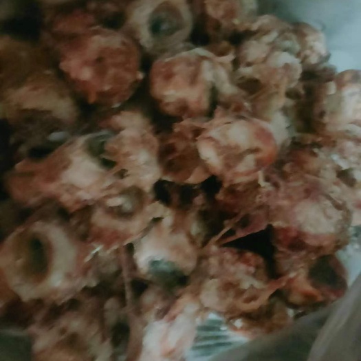 临清市羊脑，碎脑，大量批发