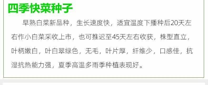 原裝快菜種子20天四季速生大小白菜雜交種籽耐熱耐濕四季蔬菜種