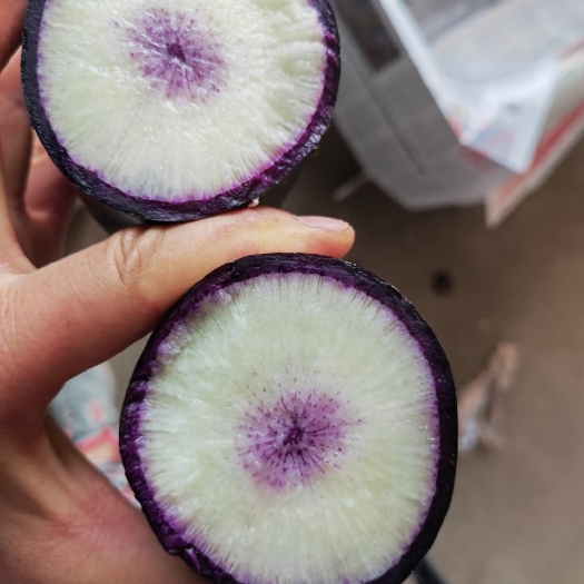 寿光市冰淇淋萝卜，冰糖心水果萝卜