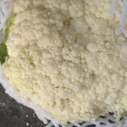 邯郸松花，产地直发，量大从优！