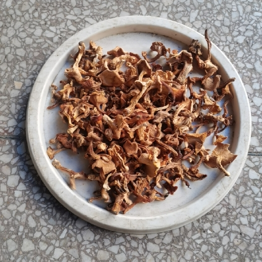 随县野生鸡油菌