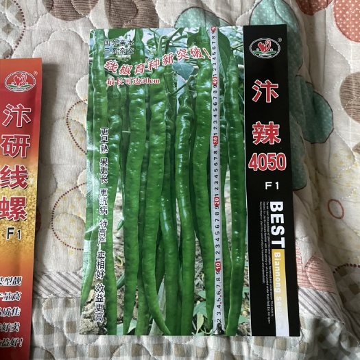 元谋县精品二荆条种子，产量高亩产突破5吨，横扫市面所有品种