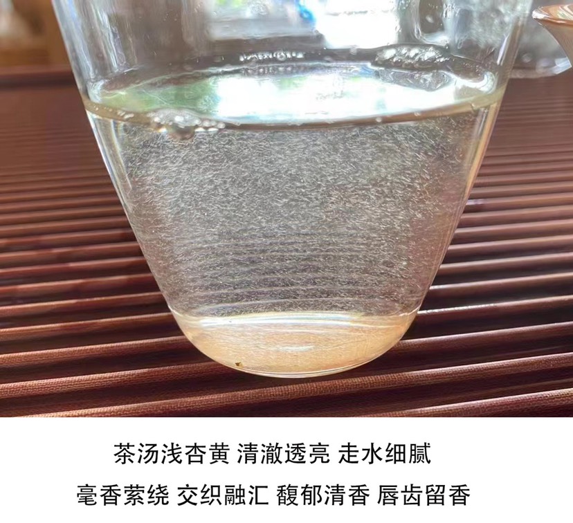 福鼎白毫银针让舌尖带您去趟福鼎茶山！可带发礼盒包装一斤起批发