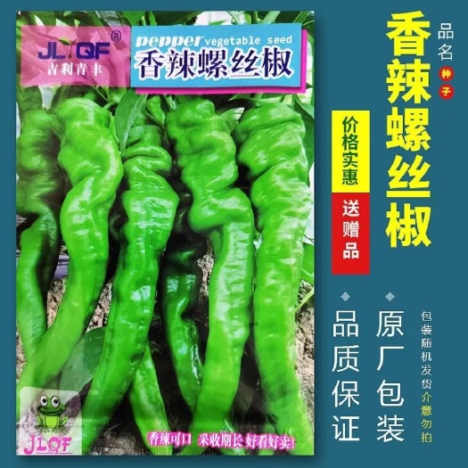 邵东市螺丝椒种子蔬菜种子辣椒种子杂交高产香辣特大螺丝椒种子