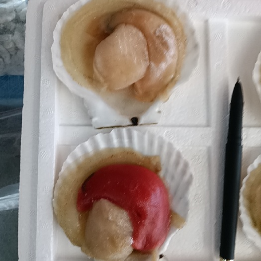 虾夷扇贝 半壳夏邑贝