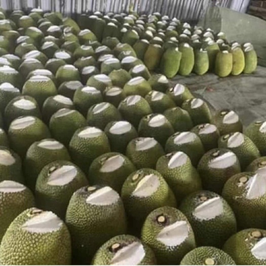 凭祥市越南菠萝蜜，磨憨口岸接货