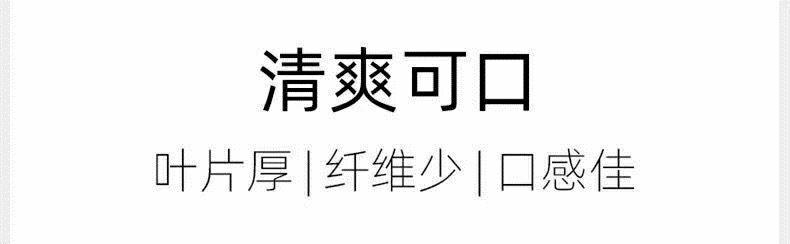 原裝快菜種子20天四季速生大小白菜雜交種籽耐熱耐濕四季蔬菜種