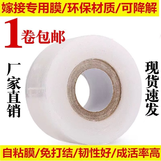 深圳嫁接膜专用膜PE无需打结薄膜自粘式园林果树嫁接胶带包扎带缠绕