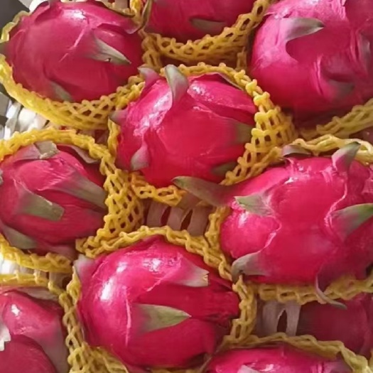 火龙果