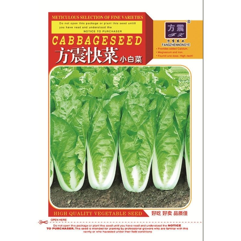 原裝快菜種子20天四季速生大小白菜雜交種籽耐熱耐濕四季蔬菜種