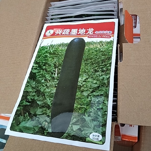 宜城市兴蔬墨地龙冬瓜种子大量供应，量大从优，
