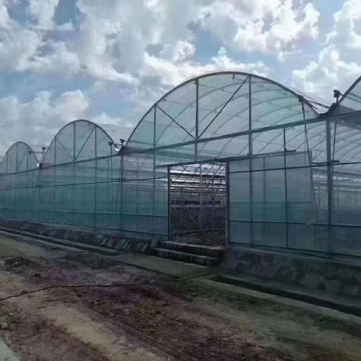 佛山花卉大棚养殖棚连体大棚单体大棚