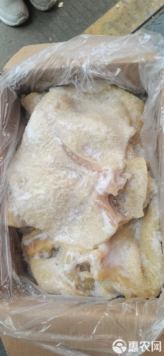 牛肚批发牛大肚金钱肚黄牛肚冷冻半成品牛杂毛肚烧烤食材火锅食材