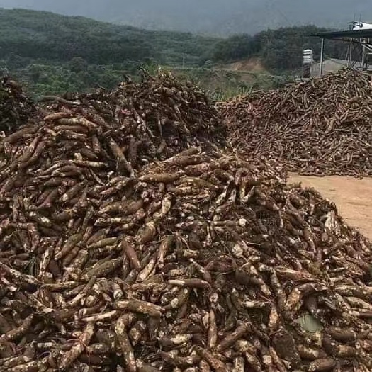 平南县越南木薯干。2022新货上市。大量货源！