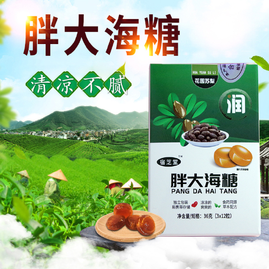 长沙宿芝堂胖大海梨膏糖