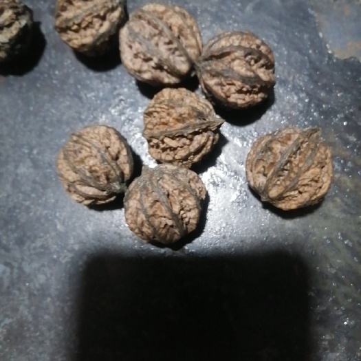 靖远县薄皮核桃  自产自销，无农药，无化肥