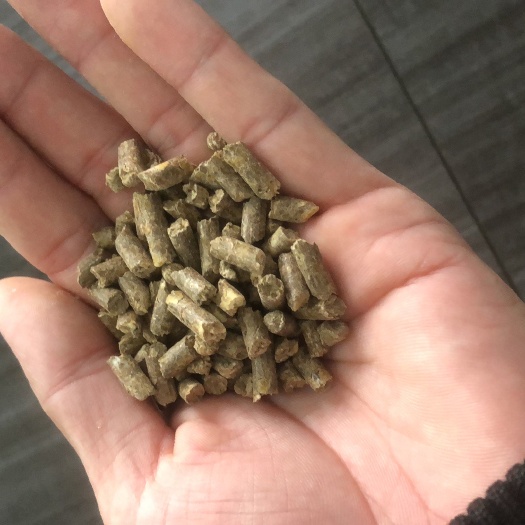 正定县颗粒料