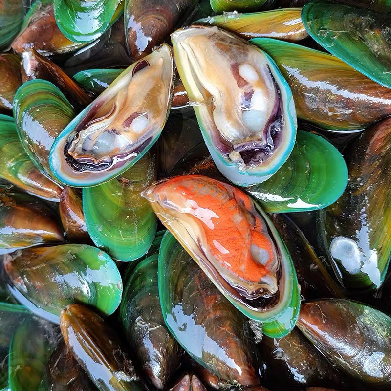 ڱʻ ˮڹ㶫