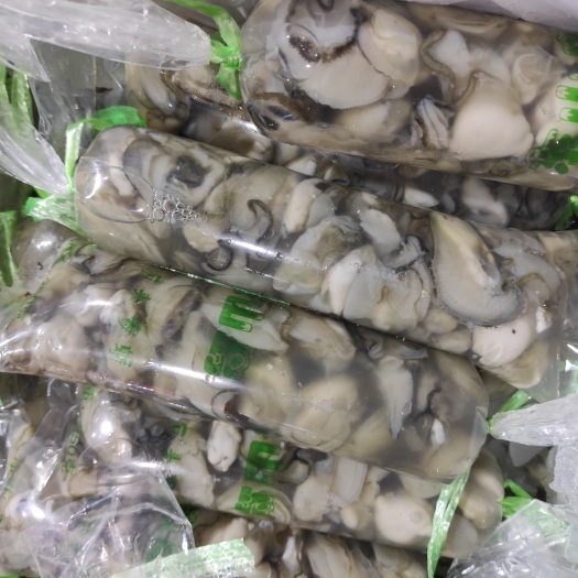 诏安县新鲜牡蛎肉（蚝肉），产地直供，量大从优，寻长期合作伙伴
