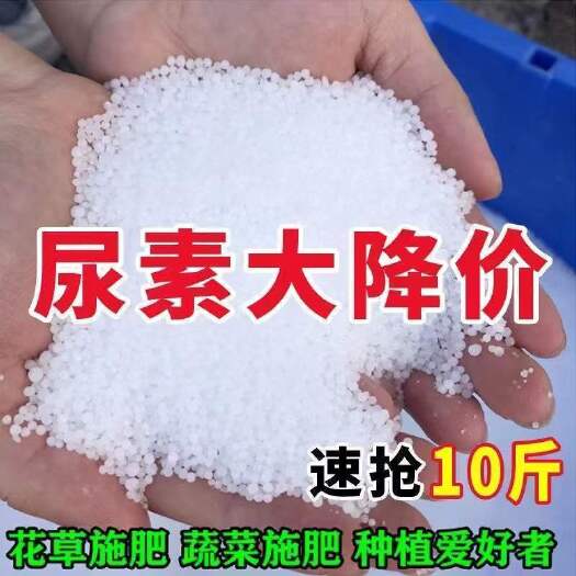 安远县尿素氮肥肥料肥通用型农业专用颗粒化肥种花种菜蔬菜果树花卉