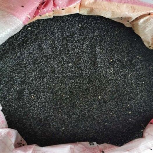 沭阳县小葱种子批发包邮按斤销售大葱包邮按斤卖四季种植阳台庭院种植籽