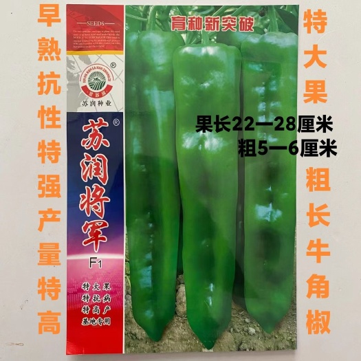沭阳县辣椒种子苏润将军辣椒大果粗长牛角椒绿色皮略薄微辣高产辣辣种子