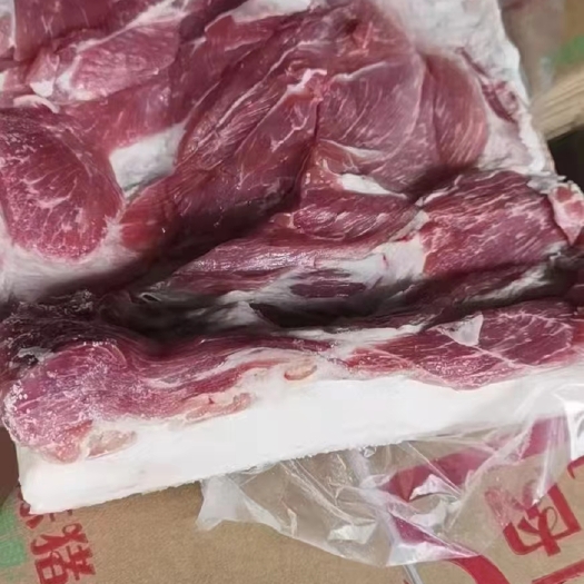南京20斤箱 冷冻新鲜猪五花肉 猪带皮前腿肌肉  猪前腿肉