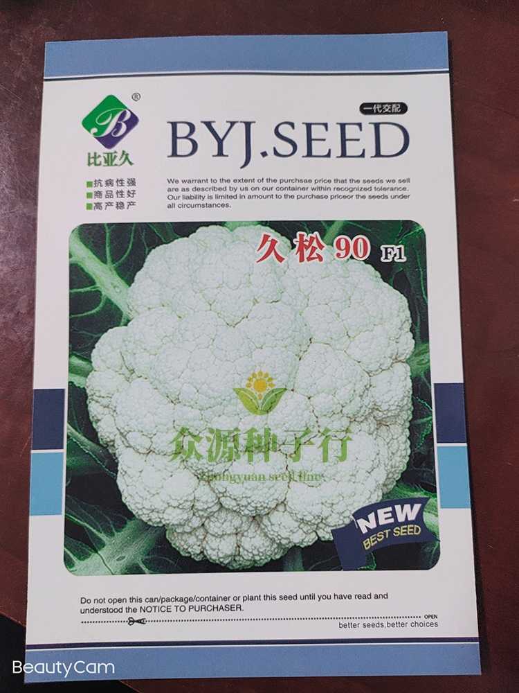 久松90松花菜種子越冬春秋播晚熟半松型散花菜小米粒菜花種籽