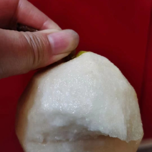 礼泉县陕西礼泉小河酥梨