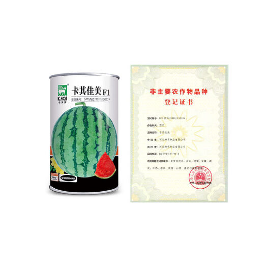青县蔬菜种子耐裂西瓜种子卡其佳美麒麟西瓜四季春季阳台盆栽农家庭院