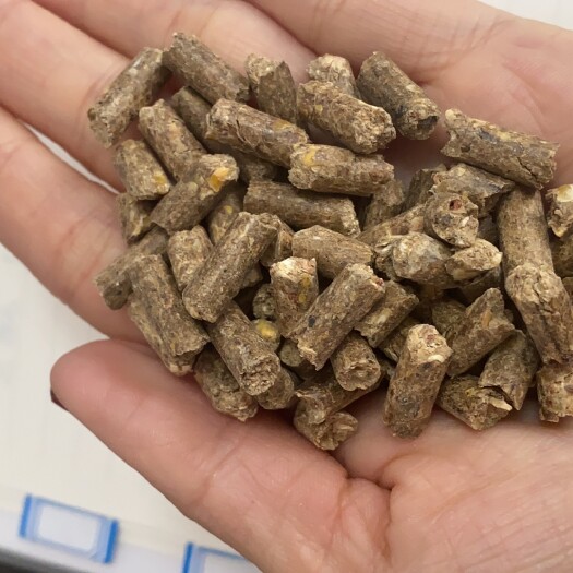 正定县颗粒料