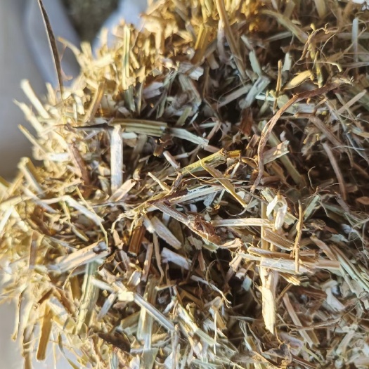 怀远县优质花生秧价格美丽