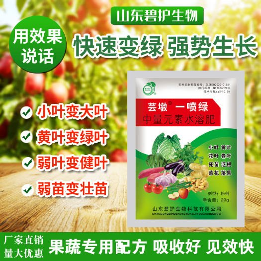 濟(jì)寧一噴綠葉面肥果蔬通用生根壯苗微量元素葉面肥黃葉小葉一噴綠葉面