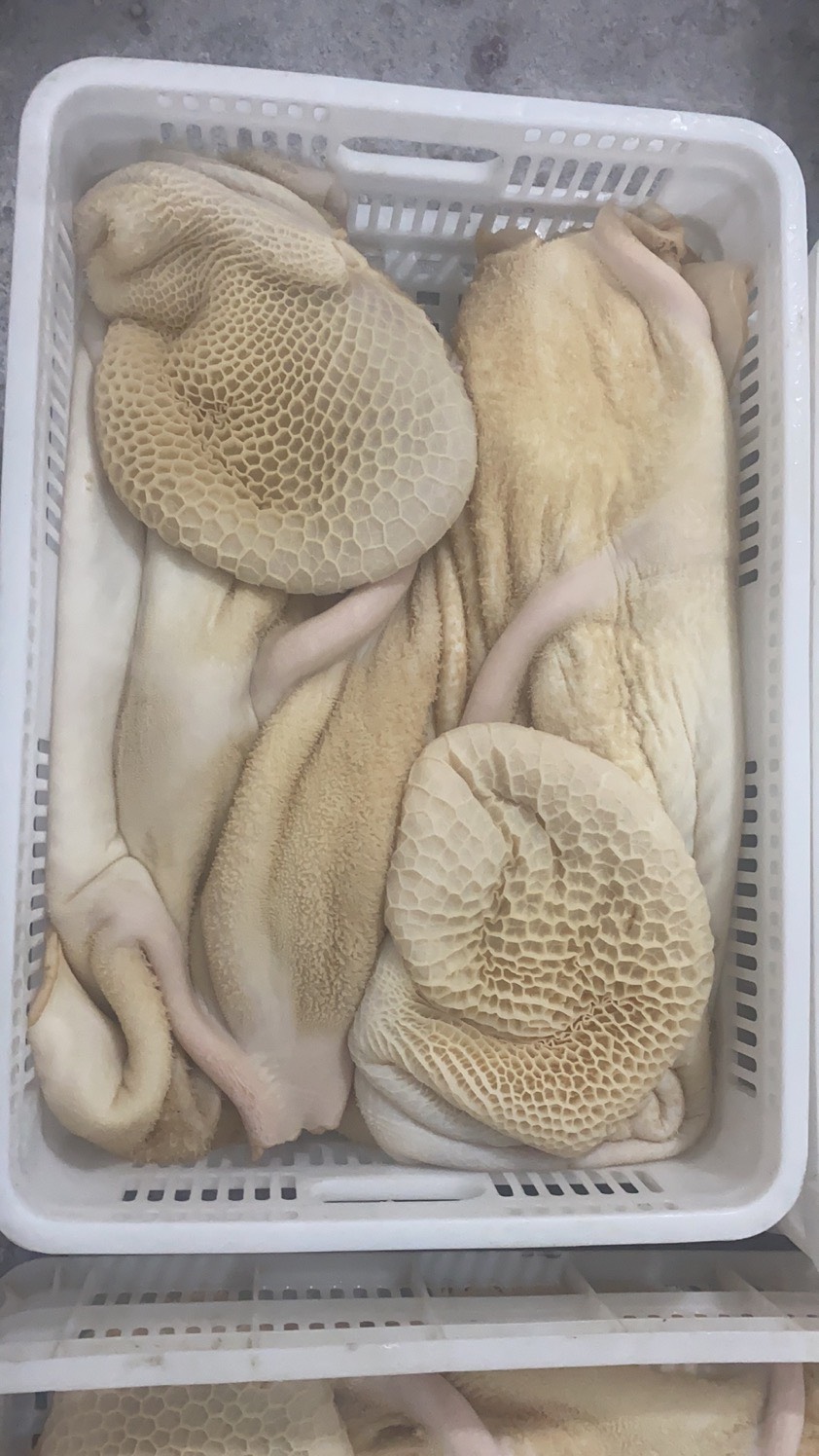 精修牛肚4成熟6成熟牛百叶等