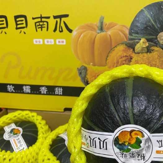 常州板栗老贝贝南瓜