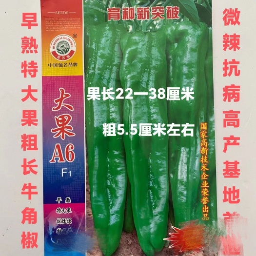 沭阳县苏润大果A6辣椒种子大果粗长牛角椒绿色略薄肉厚基地辣椒种