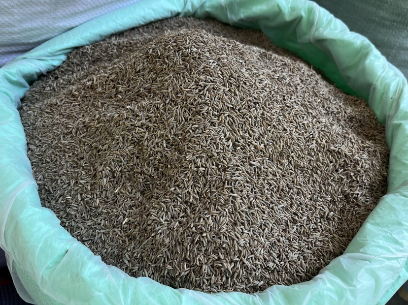 孜然烧烤调味品香料印度孜然粒孜然粉草枯子烧烤肉串