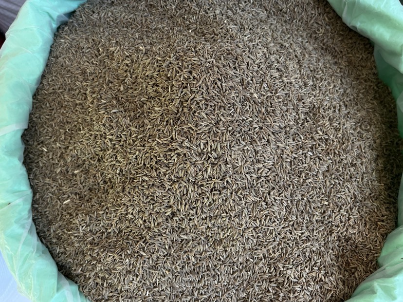 孜然烧烤调味品香料印度孜然粒孜然粉草枯子烧烤肉串