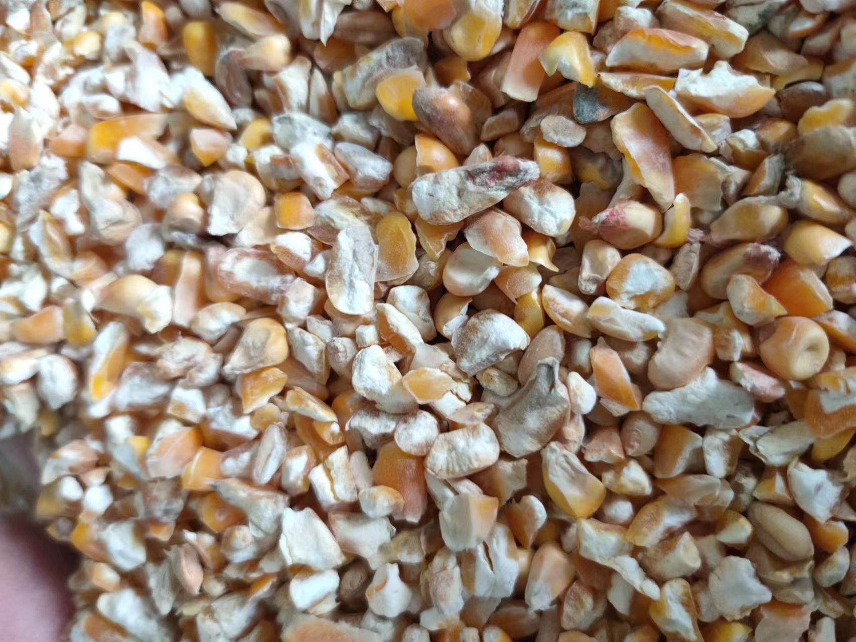 郓城县长年出售碎玉米，碎大豆，碎小麦，豆粕小料，各种饲料下脚料