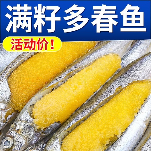 青岛多春鱼满籽新鲜冷冻多籽鱼带籽鲜活烧烤海鲜油炸商用海鱼食材鱼类