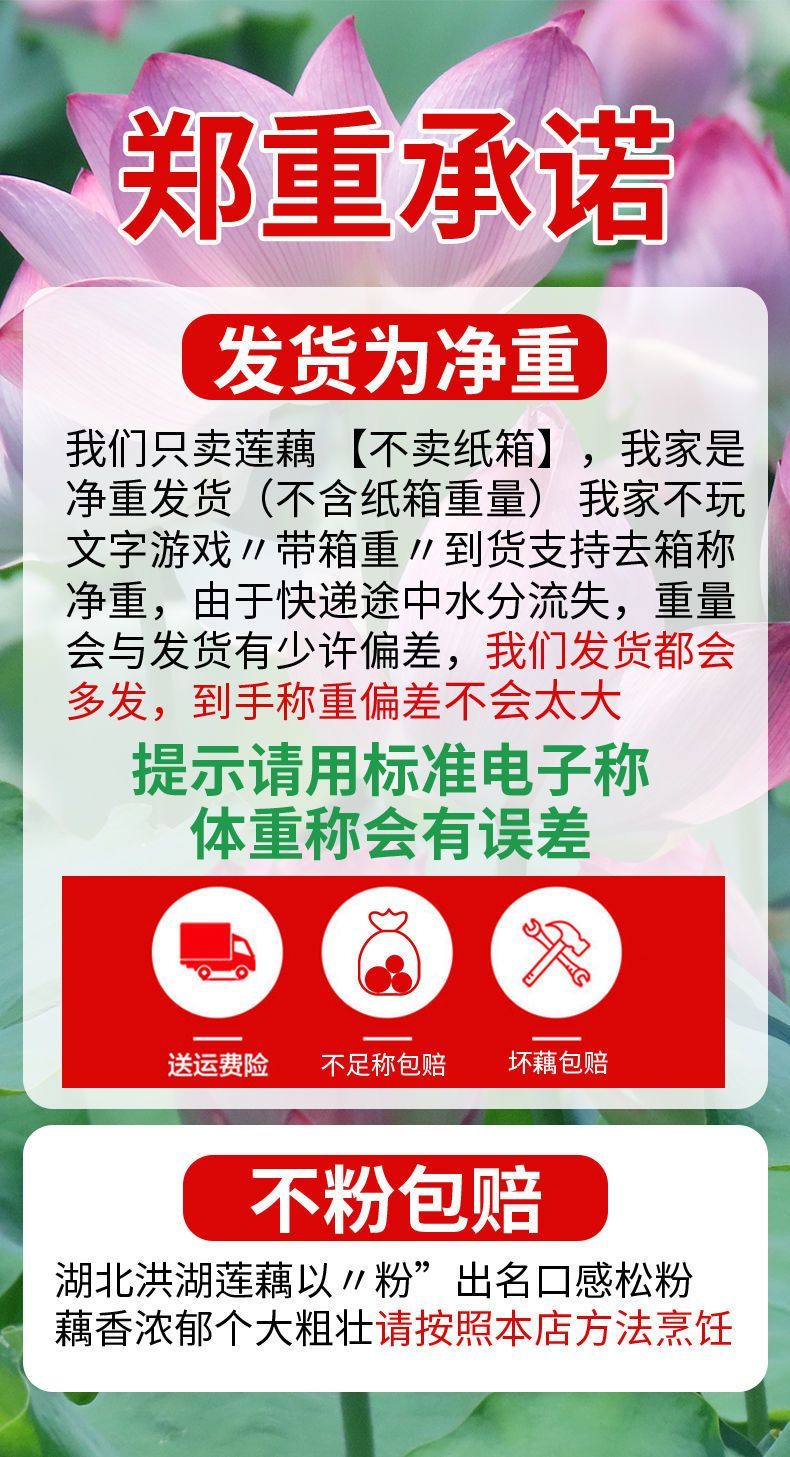 湖北洪湖粉藕煲汤藕新鲜现挖现发，不粉包退