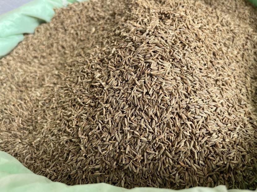 孜然烧烤调味品香料印度孜然粒孜然粉草枯子烧烤肉串